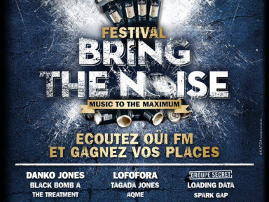 Festival OÜI FM Bring The Noise 2014 au Divan du Monde et au Point Ephémère