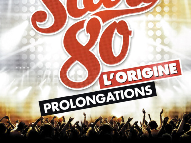 Stars 80 L’Origine au Stade de France en 2015