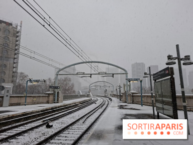 Neige à Paris : des trains rouleront toute la nuit "pour éviter le gel", annonce la RATP