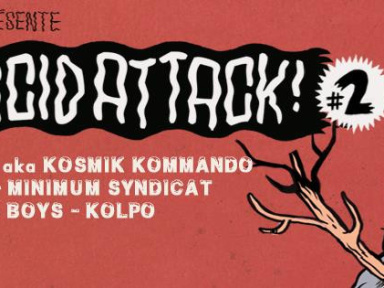 Acid Attack #2 au Petit Bain 