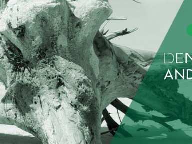 Dennis Ferrer au Zig Zag Club 