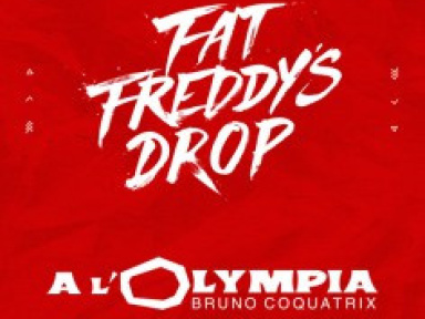 Fat Freddy’s Drop en concert à l’Olympia de Paris en novembre 2015