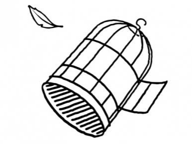 Pelican Fly au Showcase 