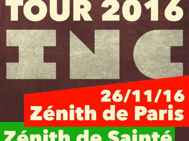Dub Inc en concert au Zénith de Paris en 2016
