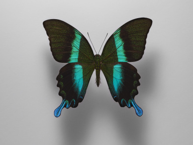 Haïku au Virgo Club avec Magda et Mano Le Tough