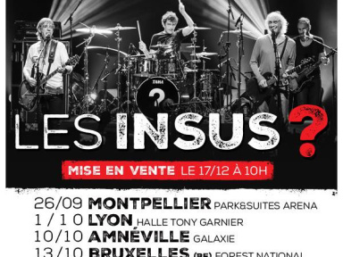Les Insus en concerts à Paris Bercy en 2016