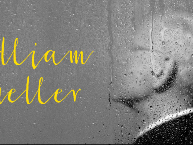 William Sheller en concert à la Salle Pleyel de Paris en décembre 2016