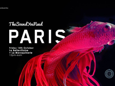 TheSoundYouNeed Festival Paris 2016 à La Bellevilloise et La Maroquinerie