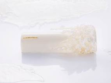 Bûche de Noël 2016 by Laurent Jeannin au Bristol Paris