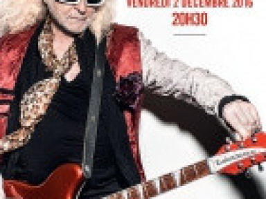 Michel Polnareff en concert à La Salle Pleyel de Paris en décembre 2016