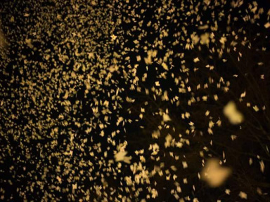 Nuit Blanche 2016 à Paris : Tempête Blanche by Anne Cazaubon