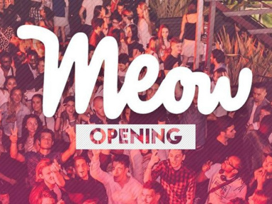 MEOW Opening au Café Oz Rooftop