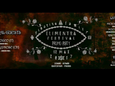 Elementra Festival Promo Party au Batofar 