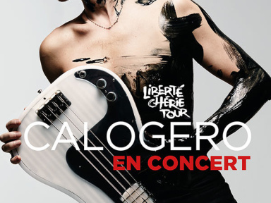 Calogero en concerts à l'Arena Bercy de Paris en juin 2018
