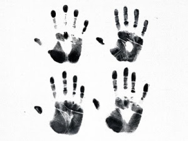 Kaleo en concert à l’Olympia de Paris en novembre 2017