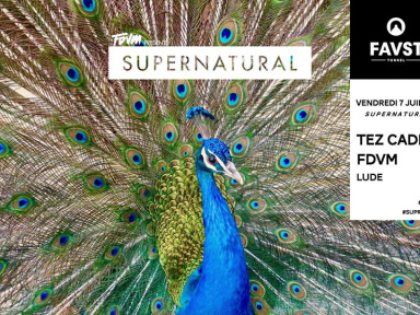 Faust x Supernatural avec Tez Cadey, FDVM, Lude