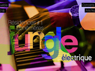 Résidences Éphémères #1 X Jungle Électrique au Pavillon Puebla 