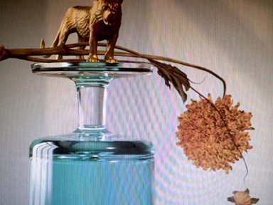 Beirut en concert au Grand Rex de Paris en avril 2019