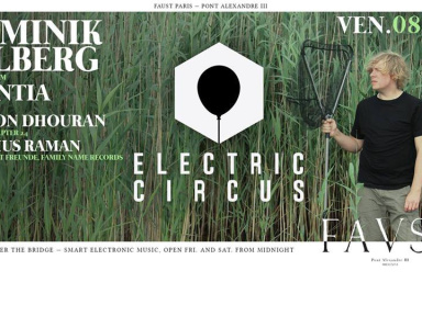 Electric Circus au Faust avec Dominik Eulberg