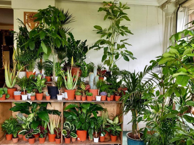 Plantes Pour Tous : grande vente de plantes à La Villette les 13 et 14 avril 2019