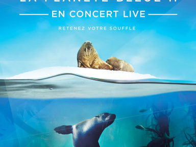 La Planète Bleue II en concert live à l'AccorHotels Arena de Paris en 2020