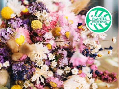 Grande Vente de Fleurs Séchées by Plantes Pour Tous à Paris 