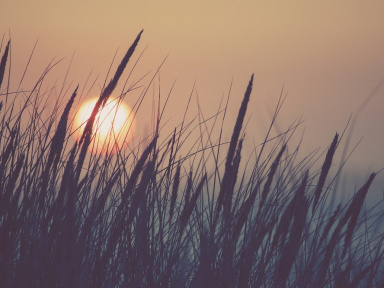 Coronavirus : au village naturiste du Cap d'Agde, près de 30% de cas positifs