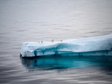 Coronavirus : un foyer de Covid-19 détecté en Antarctique, seul continent épargné jusqu'ici 