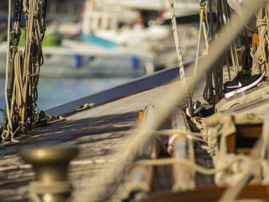 Arrivée du Vendée Globe : une haie d’honneur de 300 personnes pour accueillir les skippers
