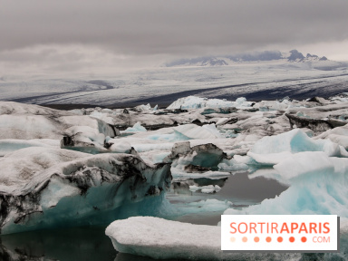 Íslenska Vikan : la semaine islandaise s'installe à L'Entrepôt à Paris cet été