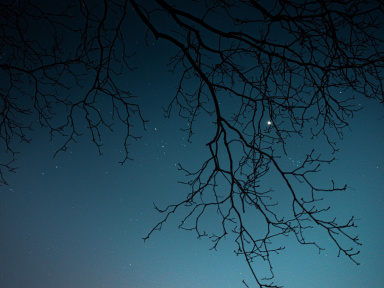 Fête de la Science 2022 : expositions et visites au Parc aux étoiles (78)