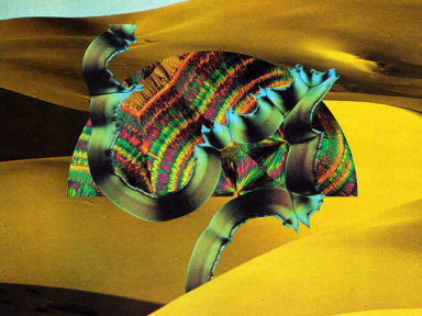 Django Django au Trianon cet hiver 