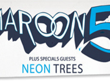 Maroon 5 en concert à Paris Bercy en 2013