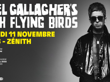 Noel Gallagher's High Flying Birds en concert au Zénith de Paris en mars 2015