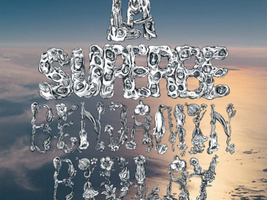 Benjamin Biolay à l’Olympia en novembre 2013