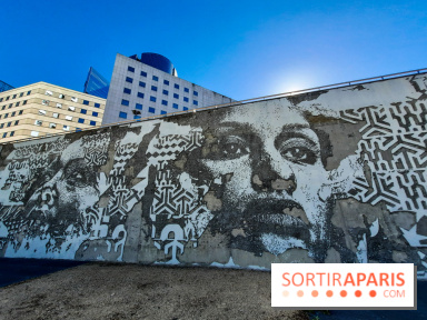 Vhils : une œuvre du street artiste portugais fait son entrée à l’UNESCO à Paris