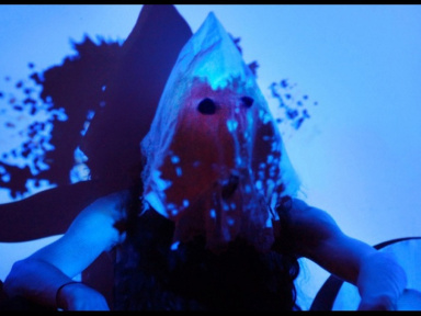 Cocorosie à l’Auditorium du Louvre en décembre 2013