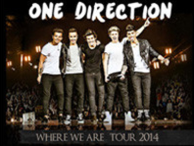 One Direction en concert au Stade de France en juin 2014