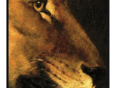 William Fitzsimmons + Denison Witmer