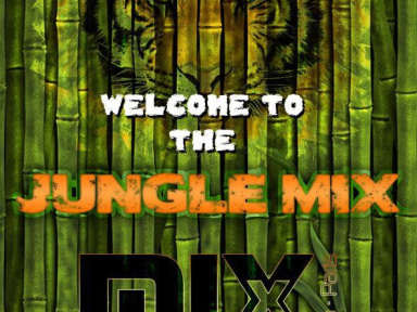 Erasmus Paris : Welcome To The Jungle Mix