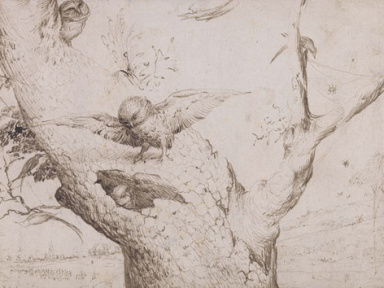  Jheronimus Bosch, Le Nid de hiboux, vers 1505-15 