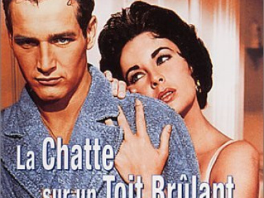 La chatte sur un toit brulant