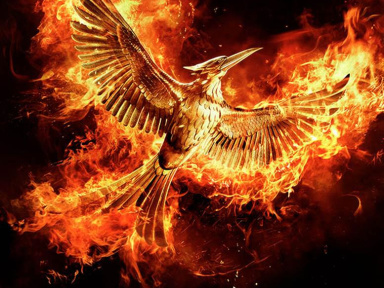 Hunger Games - La révolte : Partie 2, enfin le teaser ! 