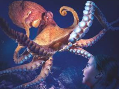 Pouples Fiction, la nouvelle exposition de Sea Life