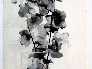 Motoko Tachikawa à la Galerie Mansart