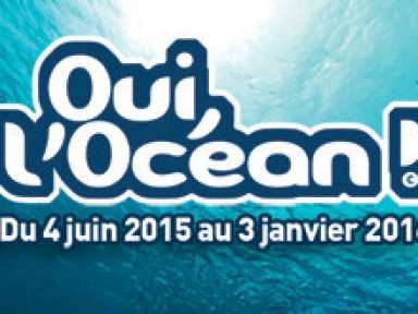 Oui, l'océan ! Le programme écolo de l'Aquarium de Paris