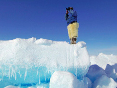 L'appel du froid, l'exposition de Michel Rawicki au jardin du Luxembourg
