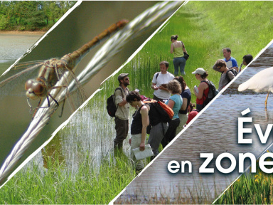 La Journée mondiale des zones humides au Palais de la Porte Dorée