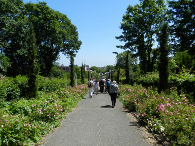 La Seine-Saint-Denis ouvre ses jardins : activités gratuites !