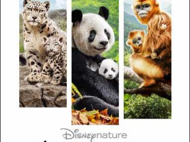 Nés en Chine : gagnez vos places pour l'avant-première ! 